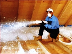 Fiber Glass Insulation
