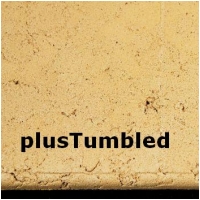 Kirkwood plusTumbled Hearth Only