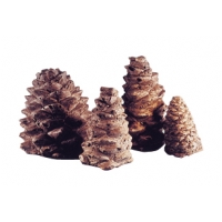 PC-4 - Pine Cones - 4 assorted sizes